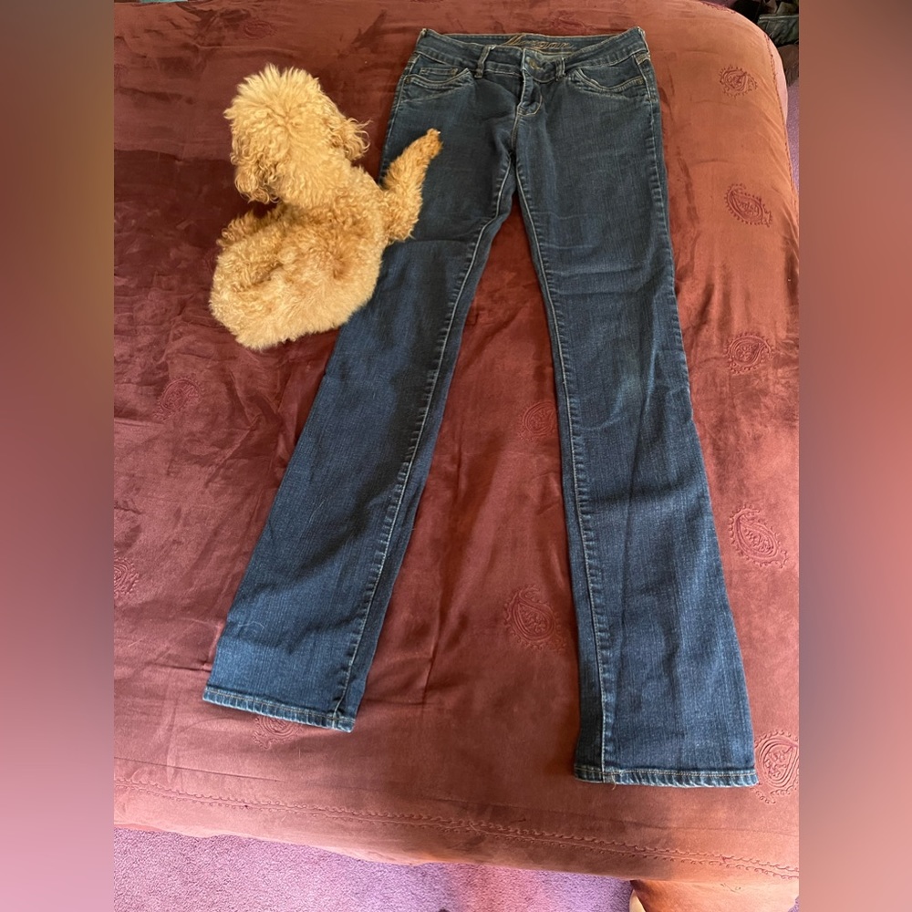 Delia’s Morgan Jeans, blue, 7/8 Tall